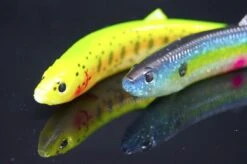 Rhino 15g 135mm Soft-Finny Black Devil Fish Smell -Shimano-winkel 3341 D3 scaled 1