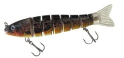 Jenzi Jeronimo Trout -Shimano-winkel 5513114 01