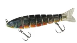 Jenzi Jeronimo Trout -Shimano-winkel 5513214 01