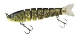 Jenzi Jeronimo Trout -Shimano-winkel 5513514 01
