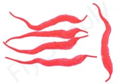 Cascade Micro Dragon Tails 5pc -Shimano-winkel Cascade Micro Dragon Tails 5pc CASC MIDT X dsc09727 bewerkt