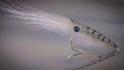 Pro Sportfisher Shrimp Shell G2 -Shimano-winkel Pro Sportfisher Shrimp Shell G2 PROSHRSHELLG2 XXX 2018 11 02 15.16.13 1