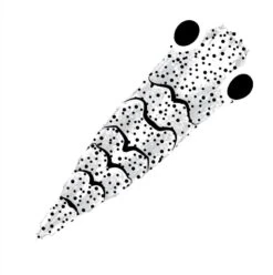 Pro Sportfisher Shrimp Shell G2 -Shimano-winkel Pro Sportfisher Shrimp Shell G2 PROSHRSHELLG2 XXX gen 2 clear large 1