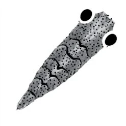 Pro Sportfisher Shrimp Shell G2 -Shimano-winkel Pro Sportfisher Shrimp Shell G2 PROSHRSHELLG2 XXX gen 2 grey large