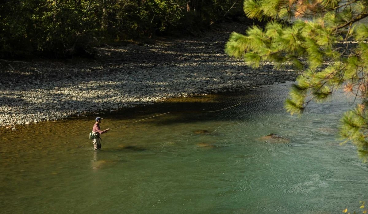 Sage Sonic Fly Rod 8 Sage Sonic Fly Rod - Afbeelding 8