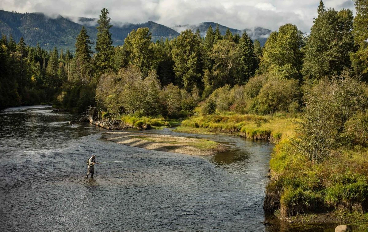 Sage Sonic Fly Rod 6 Sage Sonic Fly Rod - Afbeelding 6