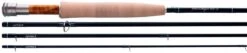 Shimano-winkel 5 Thomas & Thomas Paradigm Fly Rod