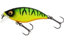 Westin Buzzbite 5cm SR (Shallow Runner) -Shimano-winkel Westin Buzzbite 5cm SR Shallow Runner Firetiger P147 099 001