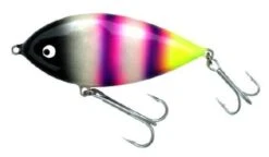 Nils Master Dartmaster