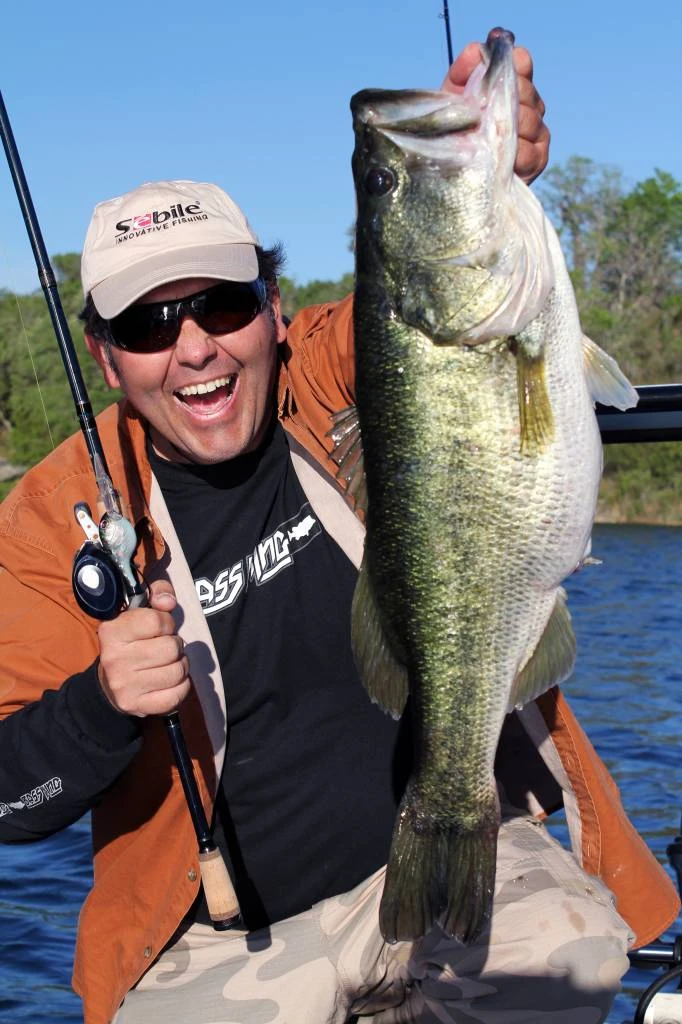 Sebile D&S Crank Jerkbait Kunstaas 3 Sebile D&S Crank Jerkbait Kunstaas - Afbeelding 3