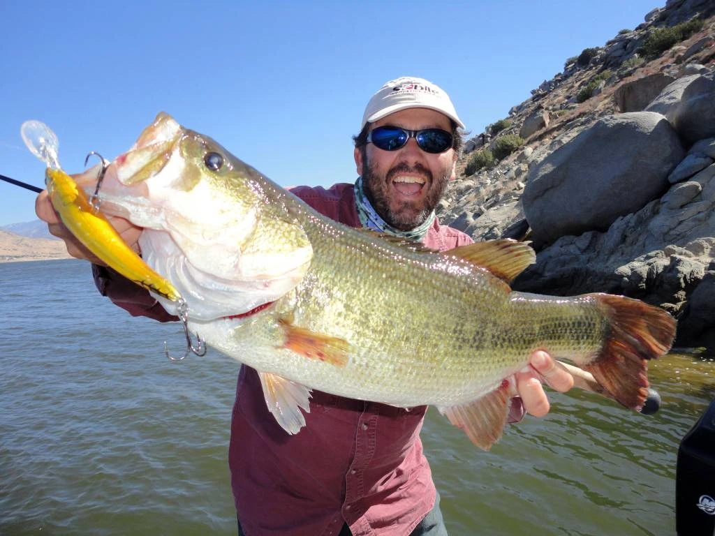 Sebile Koolie Minnow Long Lip Jerkbait Kunstaas 2 Sebile Koolie Minnow Long Lip Jerkbait Kunstaas - Afbeelding 2