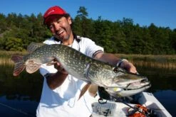 Sebile Koolie Minnow Long Lip Jerkbait Kunstaas 11 Sebile Koolie Minnow Long Lip Jerkbait Kunstaas -Shimano-winkel sebile sebile koolie minnow long lip jerkbait kuns 5