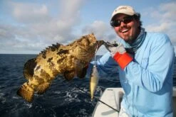 Sebile Stick Shadd Salt & Sun Jerkbait Kunstaas -Shimano-winkel sebile sebile stick shadd salt sun jerkbait kunsta 4